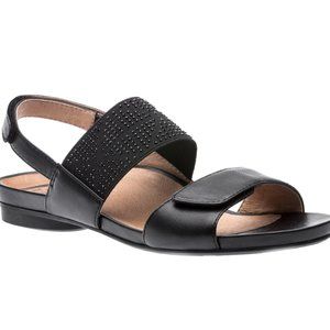NEW - black Abeo Shannon Metatarsal